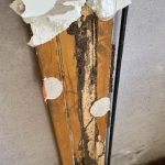 Termite damage